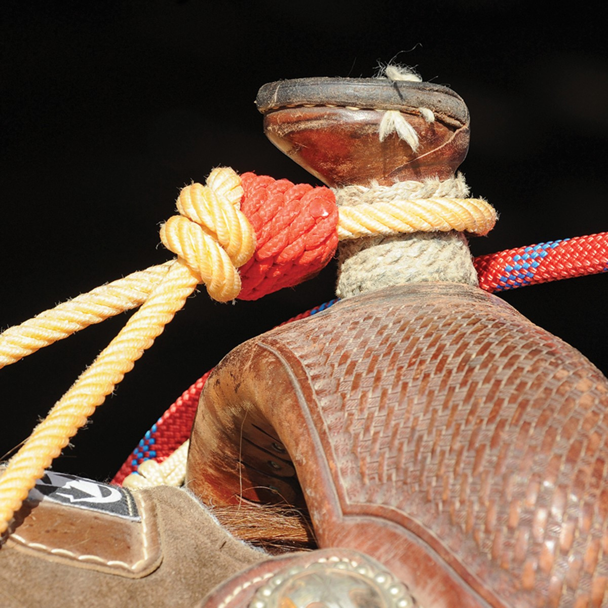 Classic Ropes Sounds Classic Ropes Rattler Nylon Horn Knot – Durable Roping Accessory