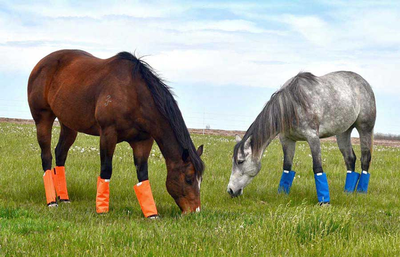 Equine fly store boots