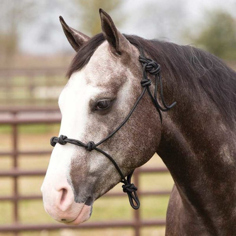 257556 Training Rope Halter Bla