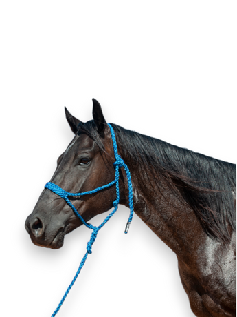 Cashel Flat Braid Halter with 9' Lead Rope