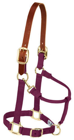 Breakaway Original Adjustable Chin and Throat Snap Halter, 1" by Weaver - Burgundy Breakaway Original Adjustable Chin and Throat Snap Halter, 1" by Weaver - Burgundy