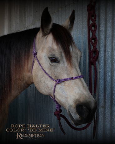 Hay Chix Redemption Rope Halter Average Horse