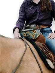 Schulz Equine Beat Bag - Pommel Bag with Bluetooth Speakers
