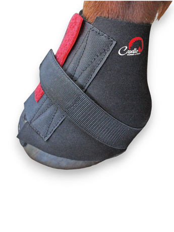 Toklat Cavallo Black Pastern Wraps Toklat Cavallo Black Pastern Wraps