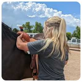 Saddle Fitting Expert