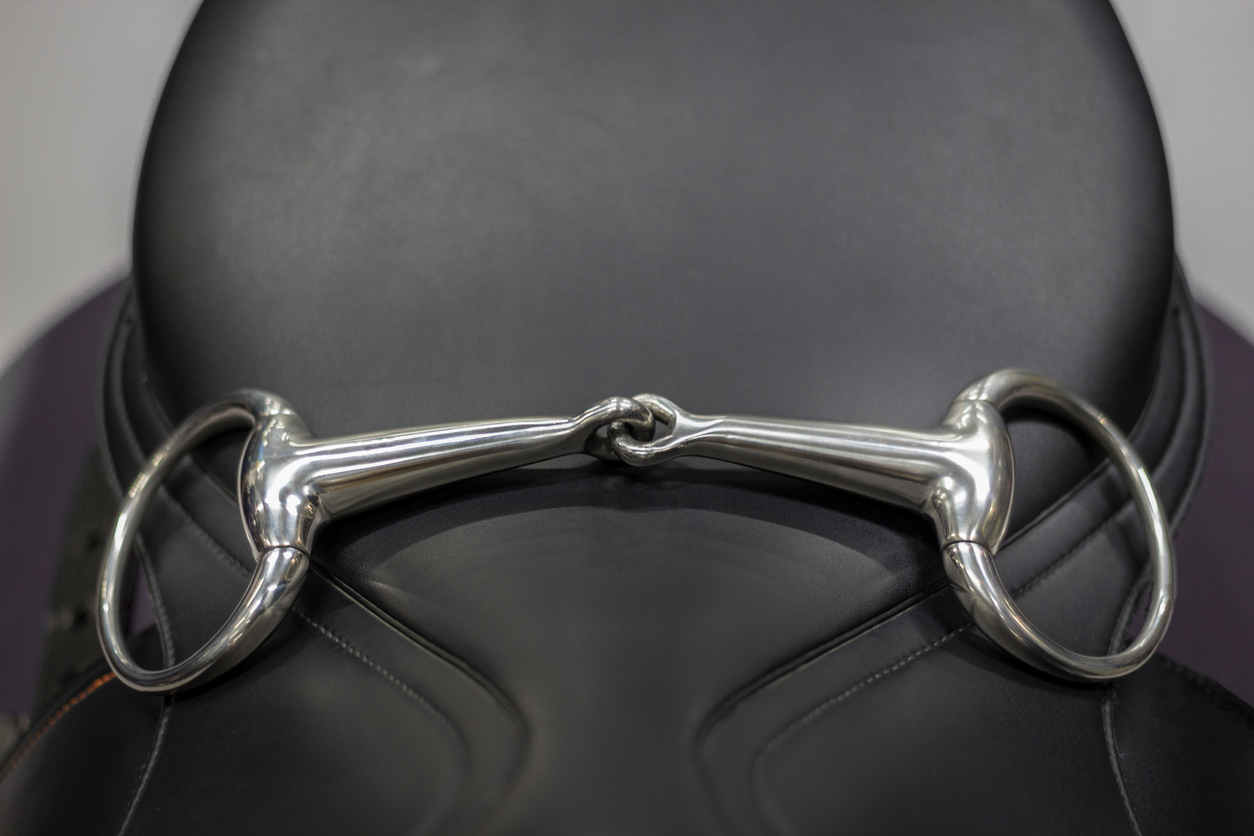 snaffle bit