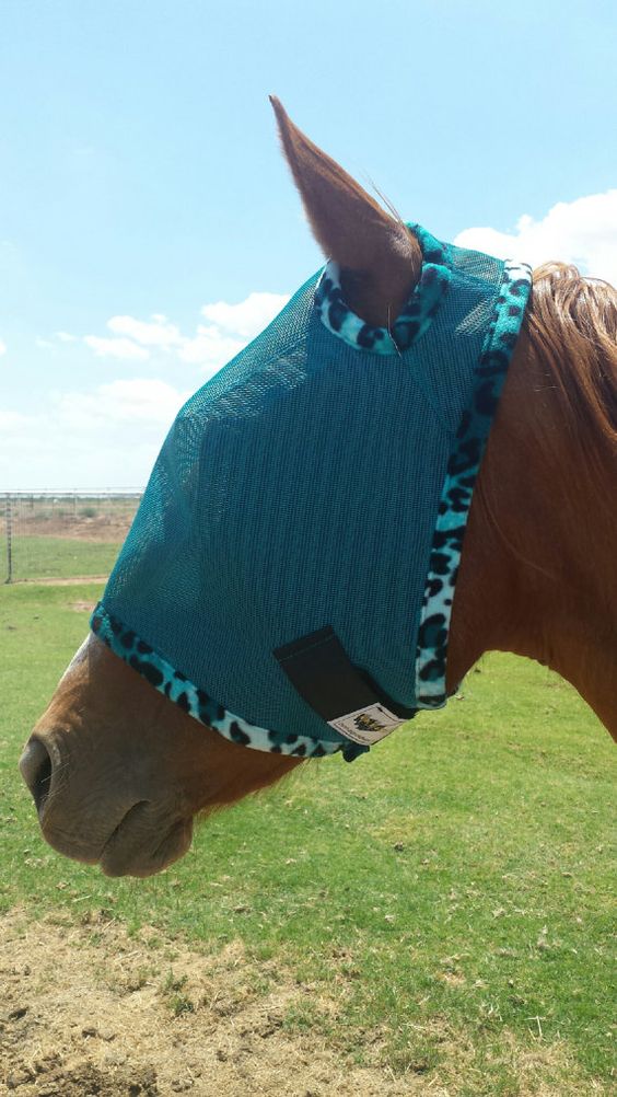 Fly Protection saddleupcolorado