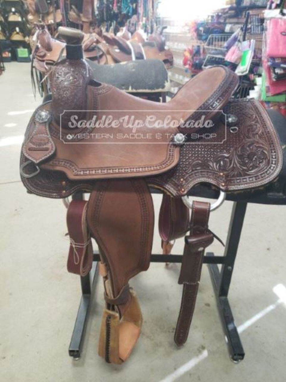 What type of western saddle do I need? The Horse Forum