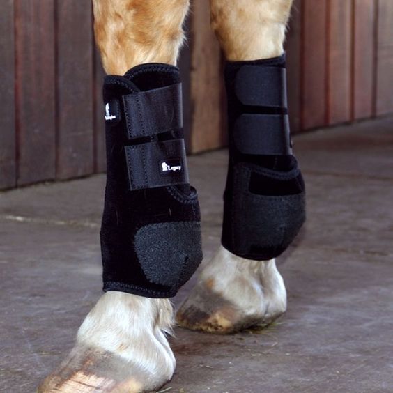 Splint and Bell Boot Sizing - saddleupcolorado