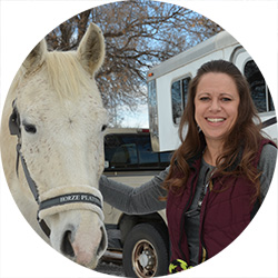 Appaloosa Horses - saddleupcolorado