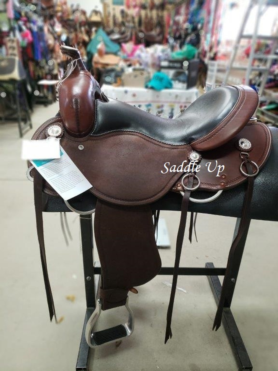 the-different-types-of-western-saddles-and-their-purpose-saddleupcolorado