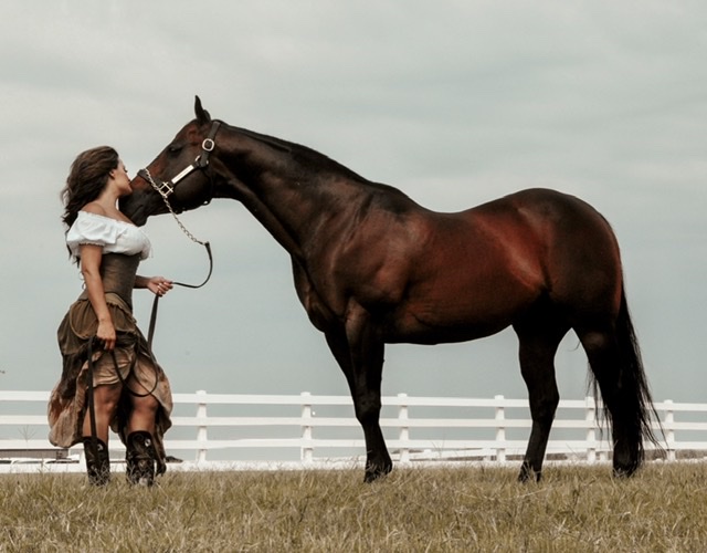 Corona Cartel A horse of true greatness saddleupcolorado