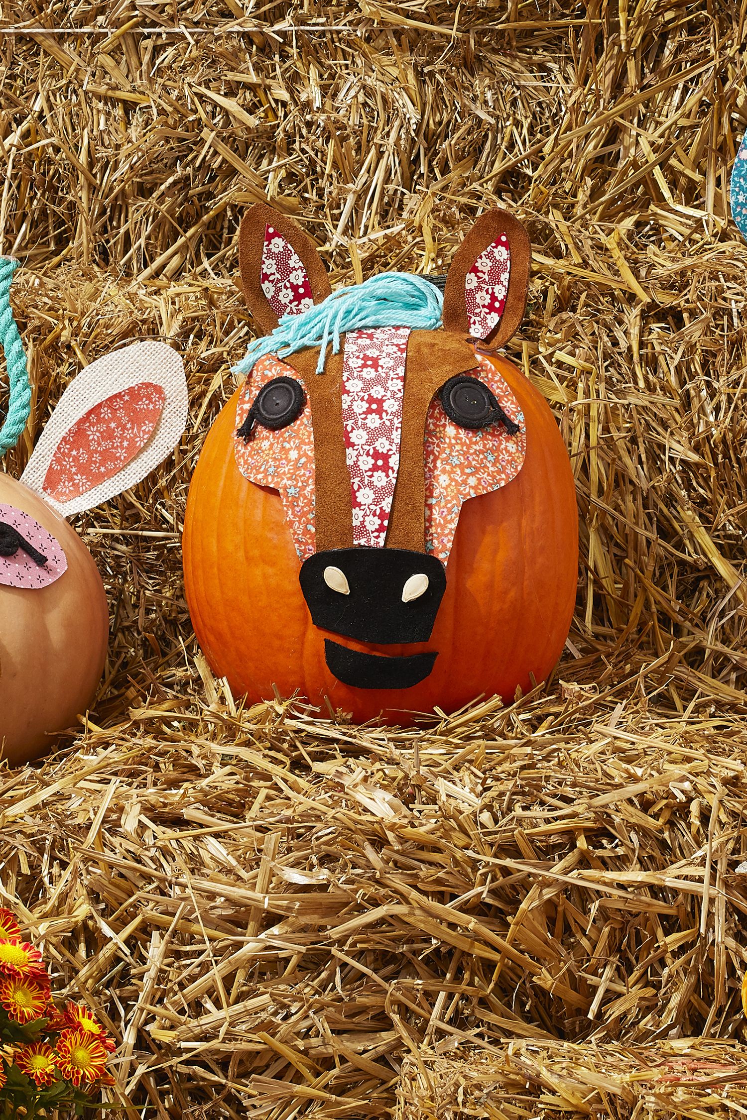 Equinely Spooky Jack-O'-Lanterns! - Carving ideas for the whole herd ...