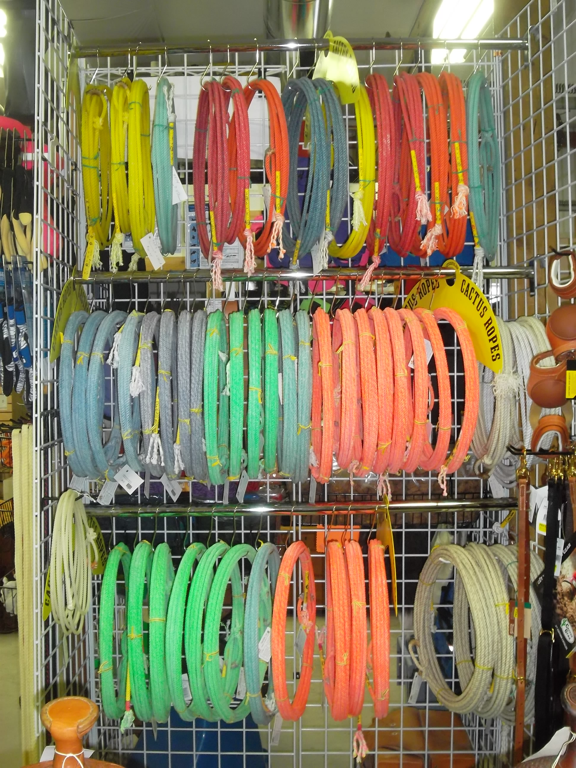 Cactus Ropes - saddleupcolorado