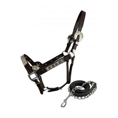 New! AS602 Dark Oil Average Horse size leather double stitched silver bar show halter main image 0