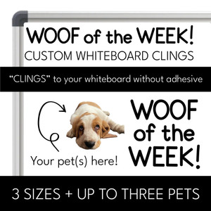 woof of the week whiteboard woof of the week whiteboard