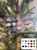 Acrylic ornament background color swatches numbered one through 15