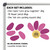 What's in the Let's Grow Together set: 10 petals, a center cling, and a goal cling