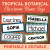 Tropical Botanical editable classroom name tags with student names in six tropical designs