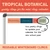 Tropical Botanical year clings updating a mini calendar for the new school year