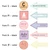 Pastel parts of speech and sentence type clings showing font and black or white text choices