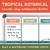 Tropical Botanical reusable whiteboard cling dividers sectioning a whiteboard with subject clings