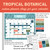 Tropical Botanical custom planner clings labeling tests, meetings, and breaks on a whiteboard calendar