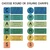 Round and square CHAMPS letter options with matching expectation clings