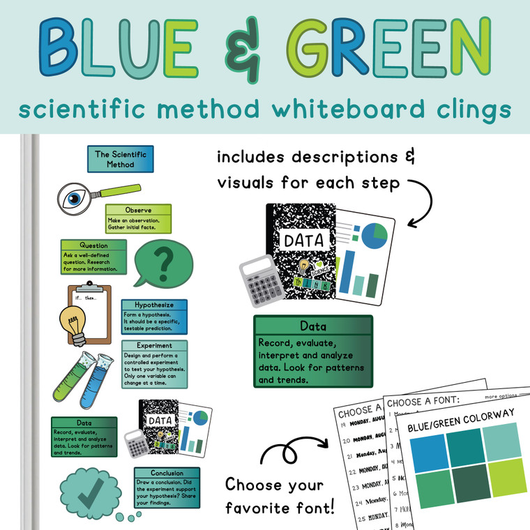 scientific method display