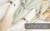 Award-Winning CLOCHEL Napkin Rings Stainless Steel Serviette Buckles Set of 4 Adornment for Elegant Dining,Table Decorations, Banquet, Wedding, Casual, Engagement, Reception & Everyday Party CSKY-7