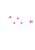Squashi Garame Spats
