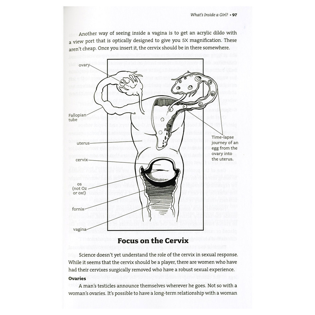 Guide To Getting It On - 10th Edition