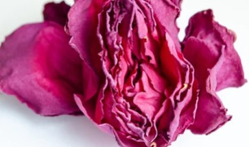 Thirsty Down There? How Dehydration, Stress and Medication Impacts Your Vaginal Health