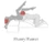 Liberator Equus Wave Bench