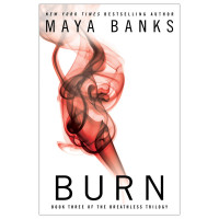 Burn by Maya Banks