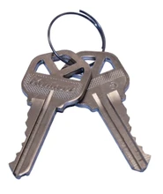 Schlage / Ringed Pair of Cut Keys / 5-pin / 48-100