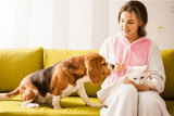 Pet Odor Neutralizers: Using Nature’s Technology for Cleaner Indoor Air