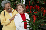 Clean Air, Healthy Aging: Wellness for Seniors with Organic Air Purifier Technology