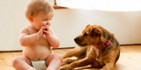 Why Pets Make Babies Healthier