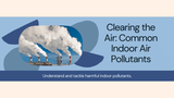 Clearing the Air: Common Indoor Air Pollutants and How to Remove Them