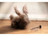 Dust Bunnies & Dog Dander: Common Allergens Hiding in Your Home