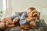 Conquering the Dander Dilemma: How AirRestore Air Purifier Technology Cleans Pet-Filled Homes