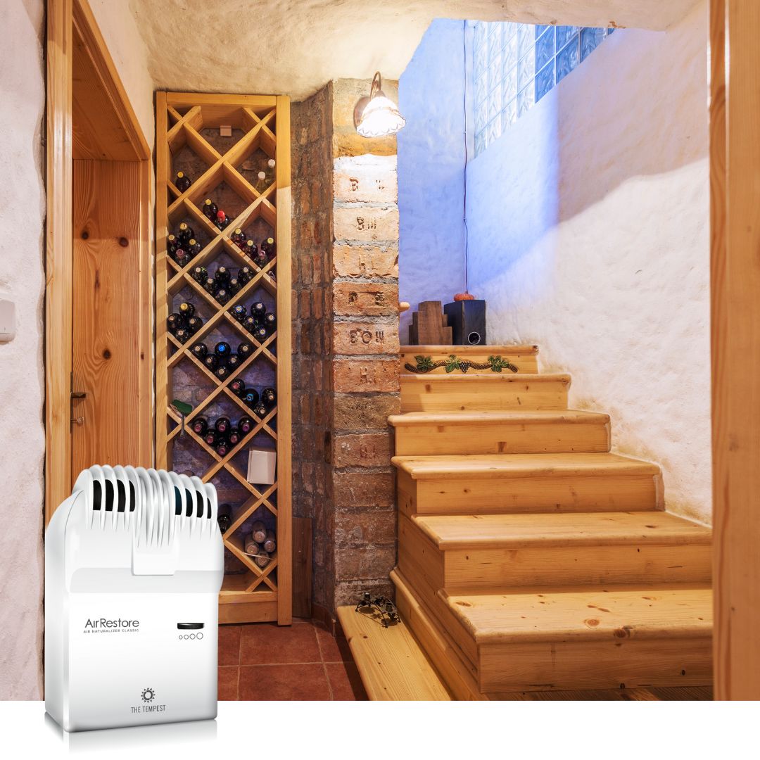 cellar stairs - air purifier, naturalizer, AirRestore