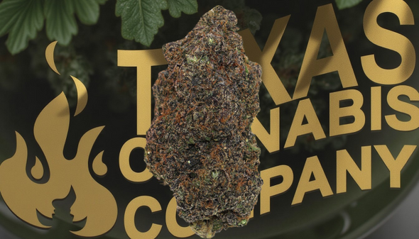 Purple Urkle THCa Flower 28% Indoor Choice Hybrid