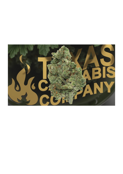 Applescotti THCa Flower 29% Exotic Choice Hybrid
