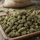 Select Collection – Budget THCA Flower
