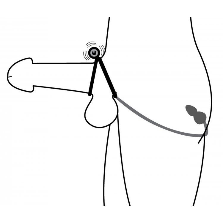 Master Series Prostatic Play Voyager 1 Vibrating Silicone Cock Ring & Anal  Plug - Dallas Novelty - Online Sex Toys Retailer