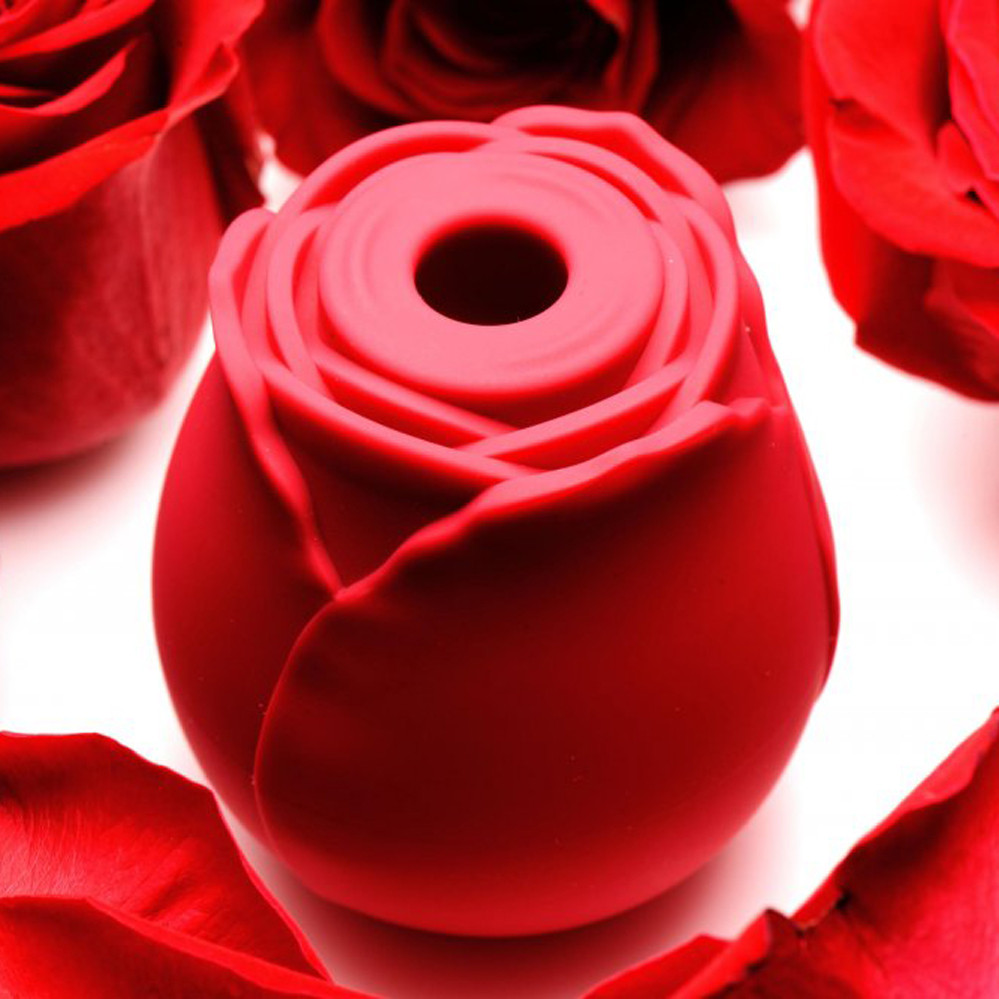 Buy the Bloomgasm Wild Rose 10-function Rechargeable Silicone Flower-shaped  Suction Vibrator Clitoral Nipple Stimulating