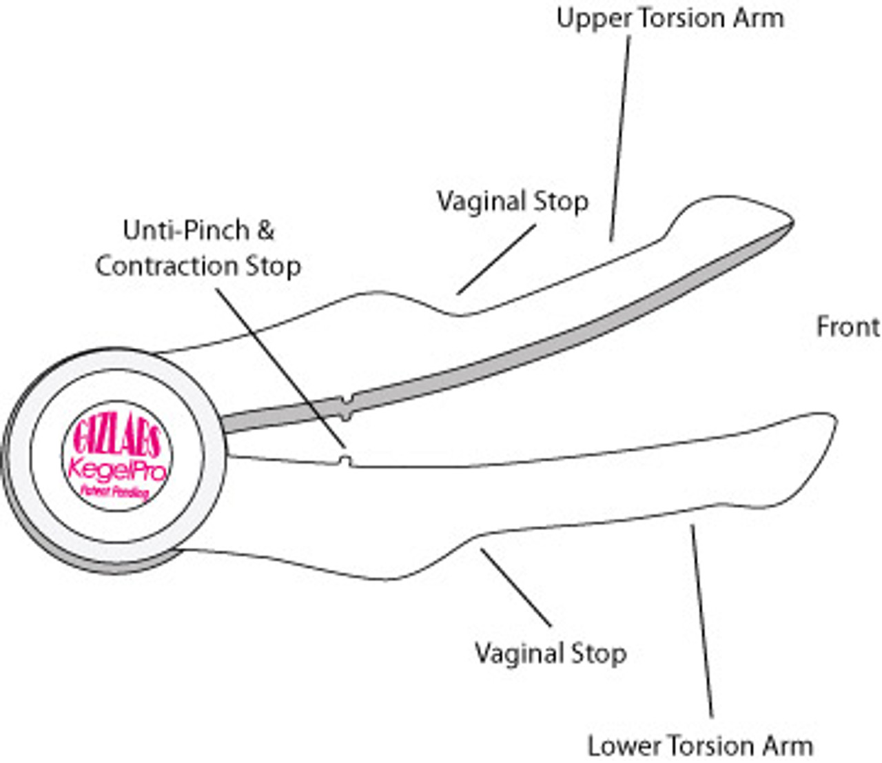 InControl Medical Apex Automatic Pelvic Muscle Kegel Exerciser from Dallas  Novelty 