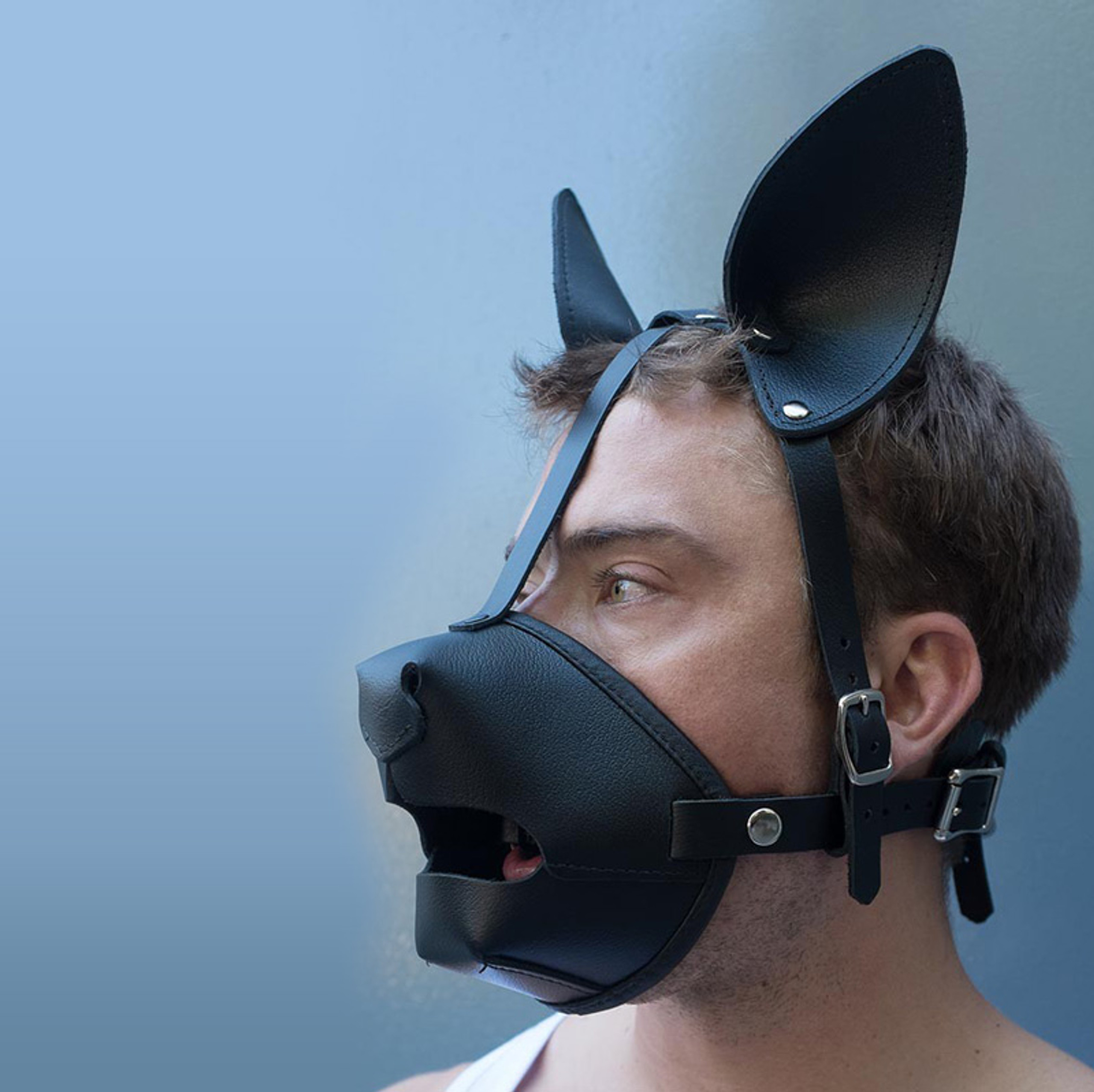 Buy Black Leather Puppy Play K9 Muzzle with Removable Silicone Ball Gag